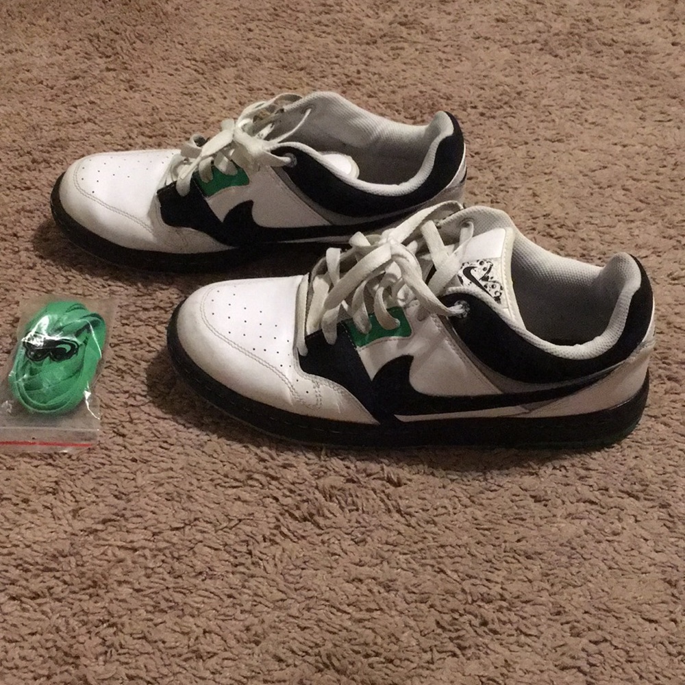 Nike SB 6.0 shoes